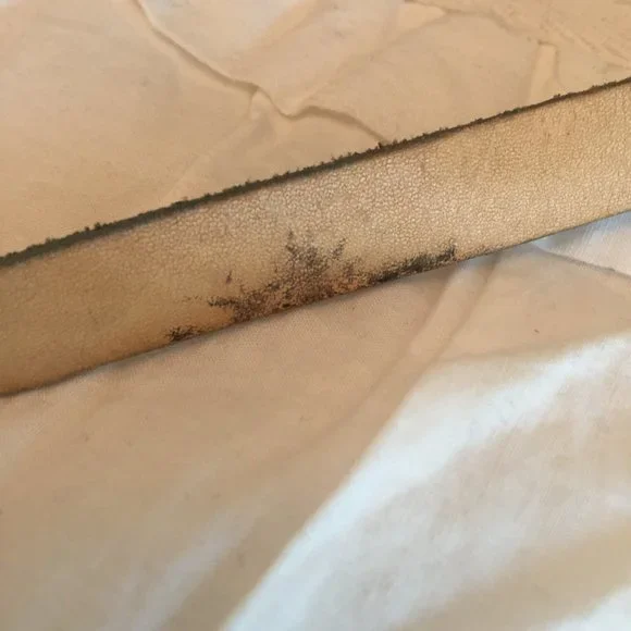 Vintage 90s Dooney & Bourke Colorful Signature Logo Tassel Handbag - Picture 3 of 12